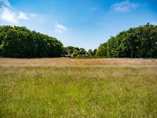 springtij-de-koog-veld