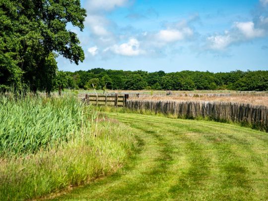 springtij-de-koog-veld